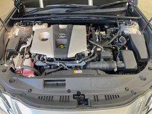 2019 Lexus ES 6AA-AXZH10