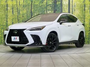 2024 Lexus NX 6AA-AAZH20