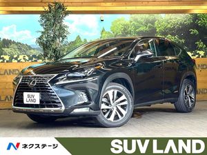 2017 Lexus NX DAA-AYZ10