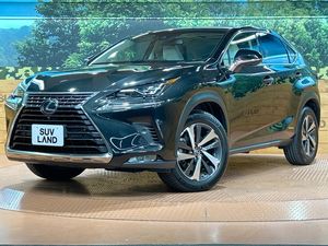 2018 Lexus NX DAA-AYZ10