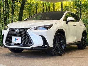 2024 Lexus NX 6AA-AAZH20