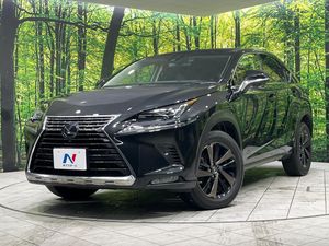 2019 Lexus NX DBA-AGZ15