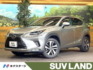 2018 Lexus NX DAA-AYZ10
