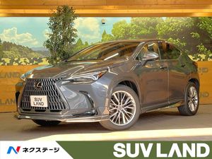 2022 Lexus NX 6AA-AAZH20
