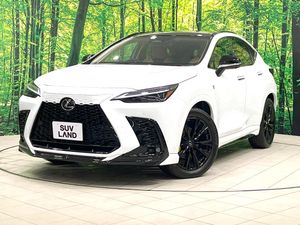 2025 Lexus NX 6AA-AAZH20