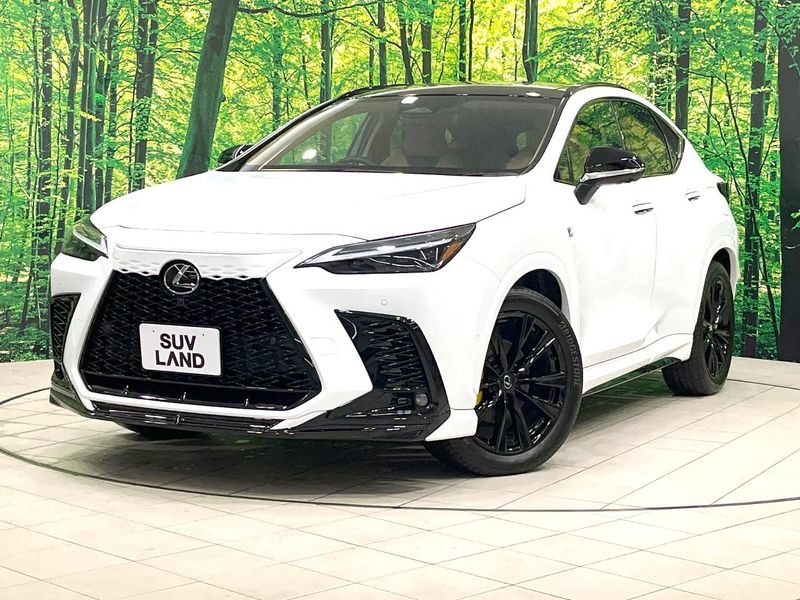 2025 Lexus NX 6AA-AAZH20 (UW-mv8qrjbra17d)[0]