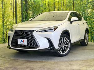 2021 Lexus NX 6AA-AAZH20