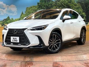 2022 Lexus NX 6AA-AAZH20