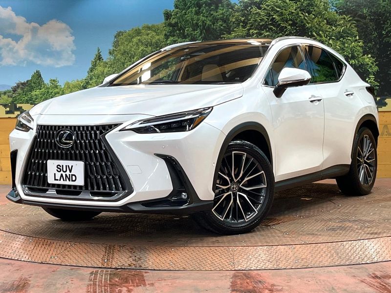 2022 Lexus NX 6AA-AAZH20 (UW-mv8qrkhw2gcf)[0]