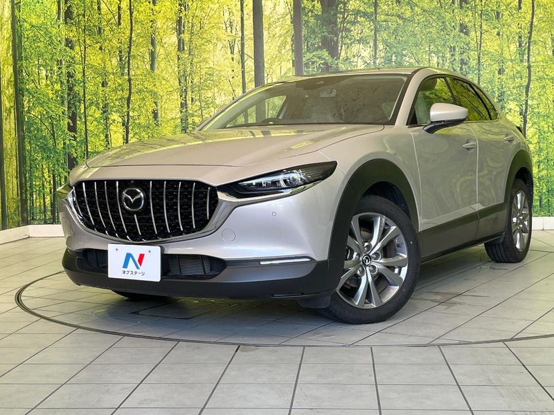 2022 Mazda CX-30 5BA-DMEP (UW-mv8qxhr6ktz7)[0]