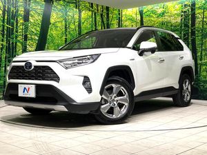 2020 Toyota RAV4 6AA-AXAH54