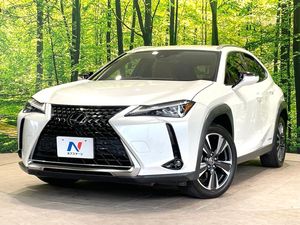 2019 Lexus UX 6AA-MZAH10