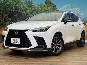 2024 Lexus NX 6AA-AAZH25