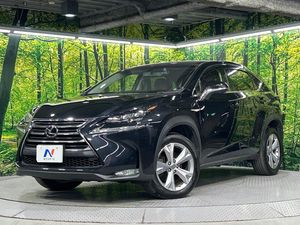 2016 Lexus NX DBA-AGZ15
