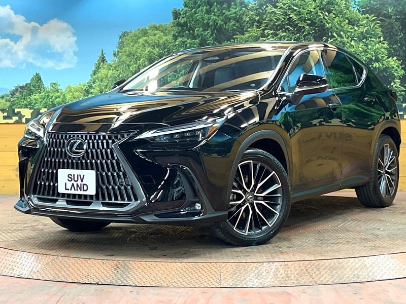 2023 Lexus NX 6AA-AAZH20 (UW-mvegnvmbgvie)[0]