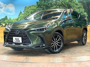 2022 Lexus NX 6AA-AAZH25