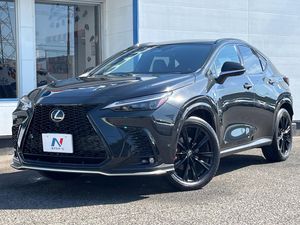 2023 Lexus NX 6AA-AAZH25