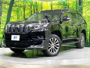 2019 Toyota Land Cruiser Prado CBA-TRJ150W