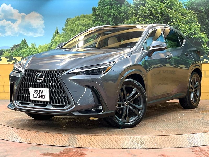 2024 Lexus NX 6AA-AAZH20 (UW-mvfxh0ifs64e)[0]