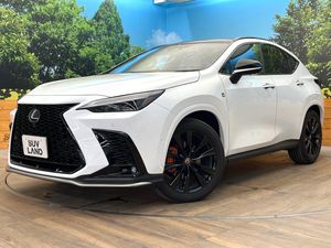 2025 Lexus NX 6AA-AAZH20