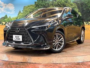 2023 Lexus NX 6AA-AAZH20