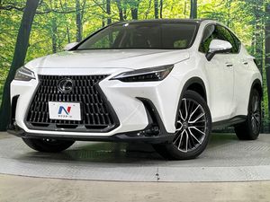 2023 Lexus NX 6AA-AAZH20
