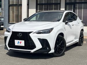 2024 Lexus NX 6AA-AAZH20