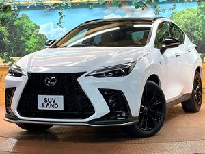 2024 Lexus NX 6AA-AAZH20