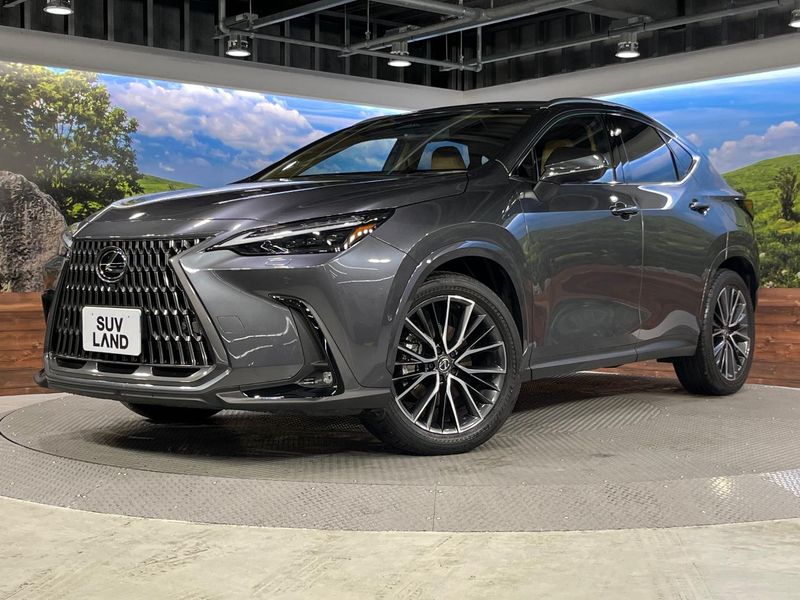 2024 Lexus NX 6LA-AAZH26 (UW-mvhcdkw6xb52)[0]