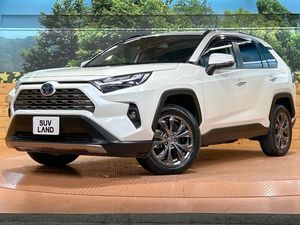 2022 Toyota RAV4 6AA-AXAH54
