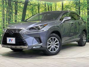 2020 Lexus NX DAA-AYZ10