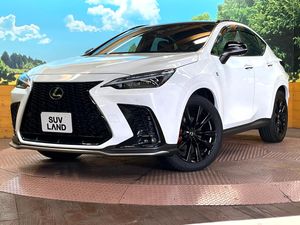 2024 Lexus NX 6AA-AAZH20