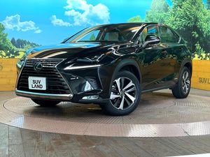 2020 Lexus NX 6AA-AYZ10