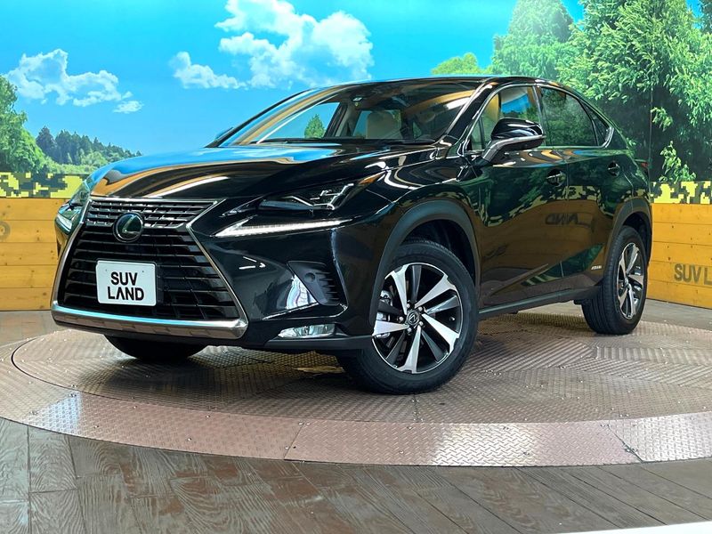 2020 Lexus NX 6AA-AYZ10 (UW-mviof81jz3gd)[0]