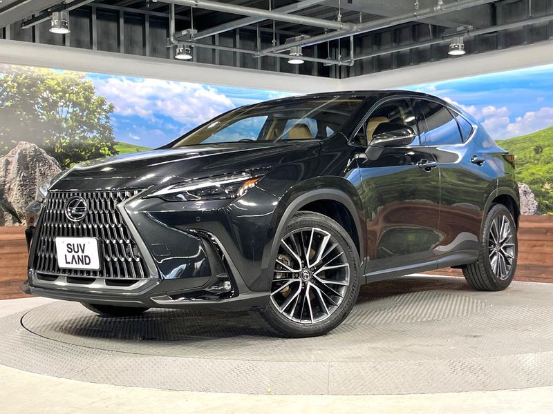 2023 Lexus NX 6AA-AAZH20 (UW-mvk6nseyf7em)[0]