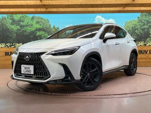 2023 Lexus NX 6AA-AAZH25