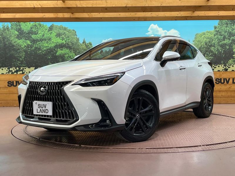 2023 Lexus NX 6AA-AAZH25 (UW-mvk6nujri9et)[0]