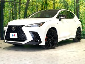 2024 Lexus NX 6LA-AAZH26