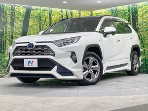 2019 Toyota RAV4 6AA-AXAH54