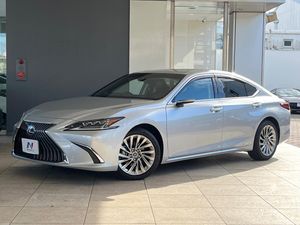 2018 Lexus ES 6AA-AXZH10