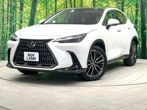 2023 Lexus NX 6AA-AAZH20